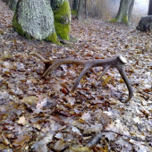 konečne...