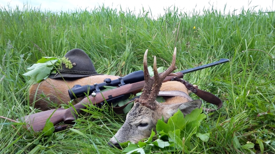 nepravidelný šestorak...