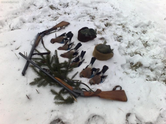 posledná pocta škodnej...