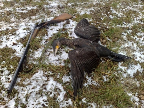 môj prvý...Petrov zdar!!!