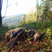 úspešné ráno... jelenča