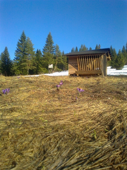 Jarná idylka