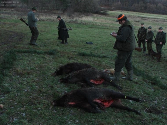 26.12.2009-Slanec