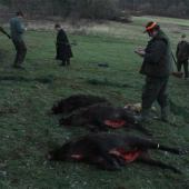 26.12.2009-Slanec