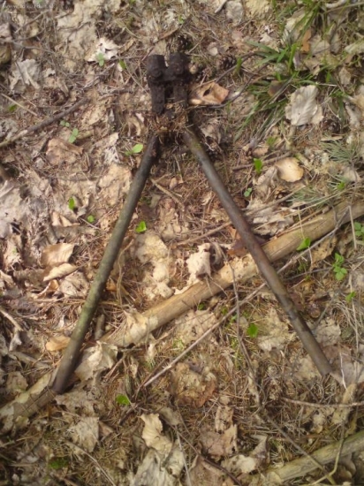 aj take sa da najst v lese:)