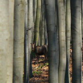 Teraz už mám väčšie