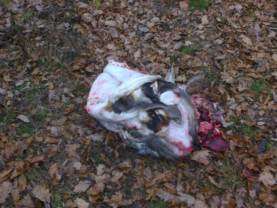 Pravidelná činnosť PZ Brdo Naháč