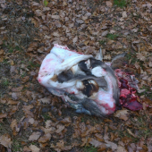 Pravidelná činnosť PZ Brdo Naháč