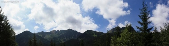 Roháče