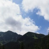 Roháče
