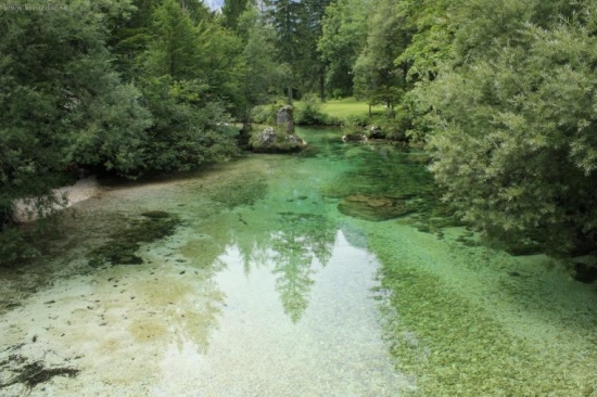 Savica