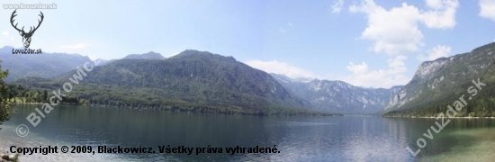 Bohijn