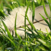 a zostalo ticho