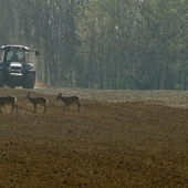 my sa traktora nebojíme