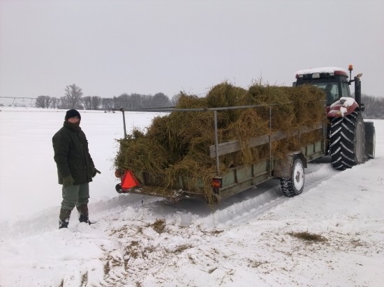 Keď treba, tak riadne !