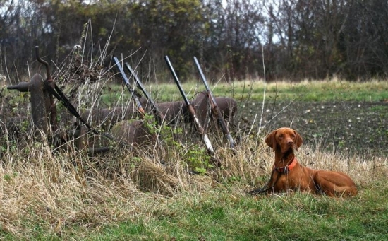 Pauza na spoločnej polovačke v rakúsku