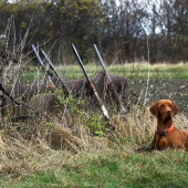 Pauza na spoločnej polovačke v rakúsku