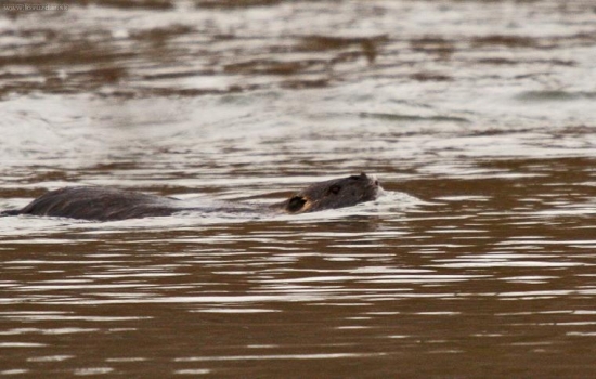 kam sa tak ponáhlaš
