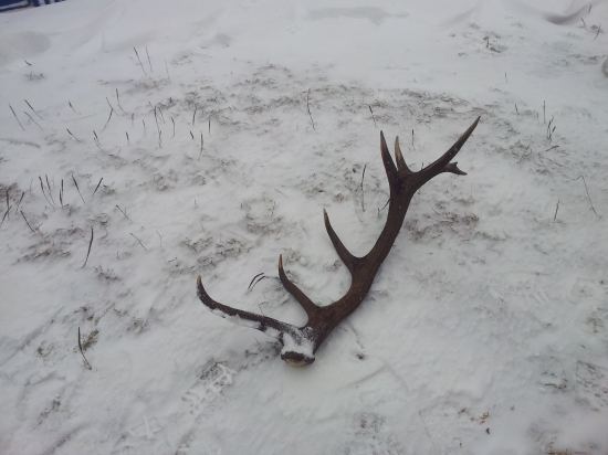 pocasie nic moc ale oplatilo sa ist :-)