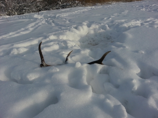 aj brasko si dnes vysiel :-)