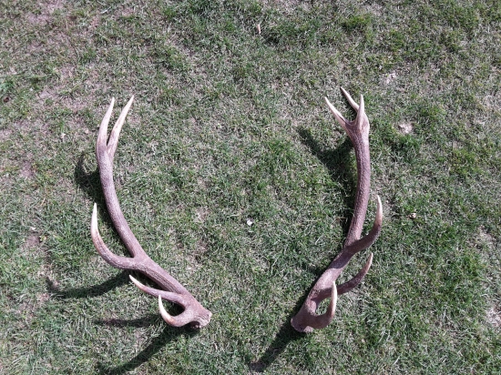 Nepravidelny 12torak