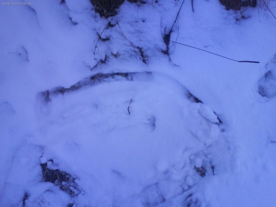 nocna mora kazdeho zhodara