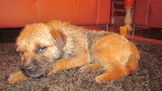 DESSY Hranovnicky Hámor