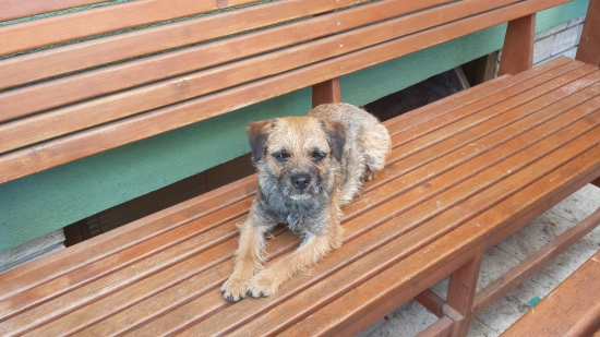 Dessy Hranovnický Hámor