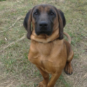 môj max