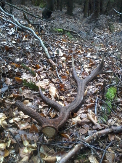 po včerajšku repete