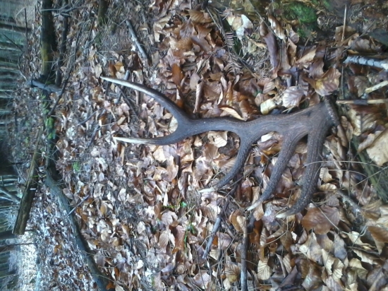 keď ťa šťastie neopúšťa