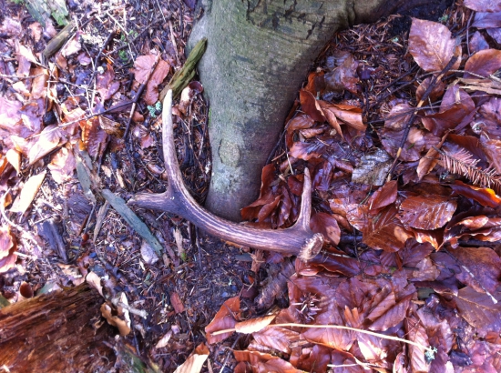 Starý.....a obžratý