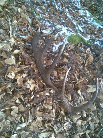 PRVÝ TOHTOROČNÝ v sobotu