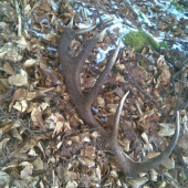 PRVÝ TOHTOROČNÝ v sobotu