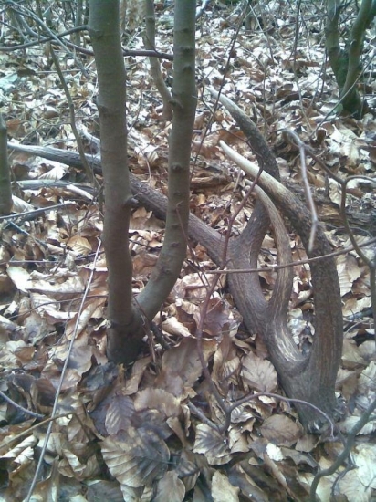 PÁR K NEMU v nedelu