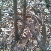 PÁR K NEMU v nedelu