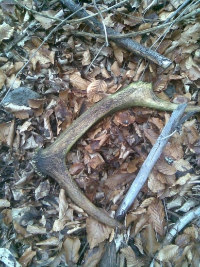 MINULOROČNÝ ALE AJ TEN SA RÁTA