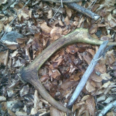 MINULOROČNÝ ALE AJ TEN SA RÁTA