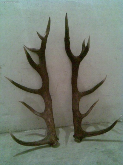 tohtoročny 14-torak