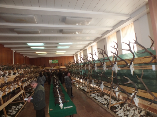 Poľovnícka výstava Veľký Krtíš