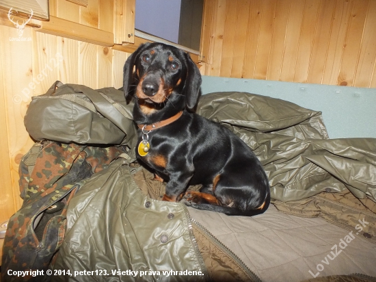 Ares na posede