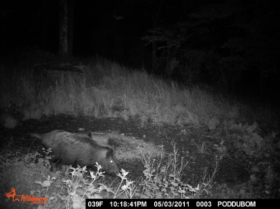 nová fotopasca Wildgame