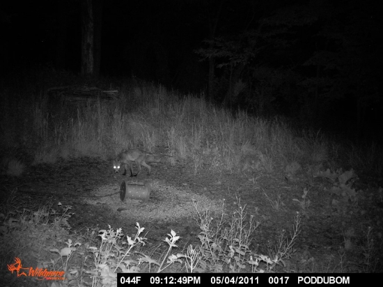 Wildgame innovations x6c