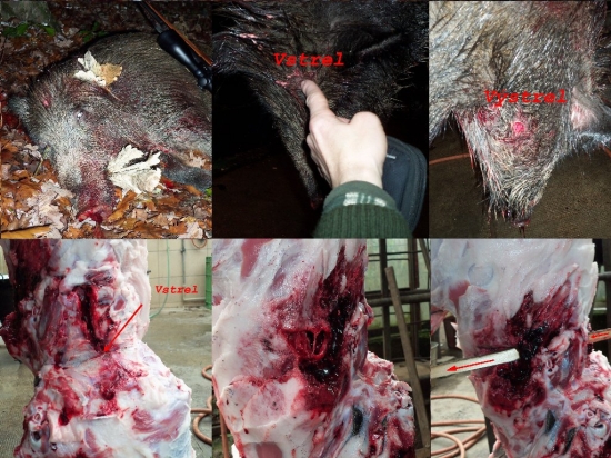 prebíjaný 700m/s Nosler Partition 200gr. 8x57JS