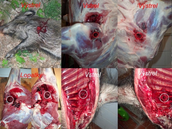 prebíjaný 700m/s Nosler Partition 200gr. 8x57JS