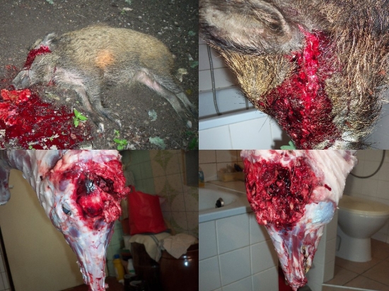 prebíjaný 700m/s Nosler Partition 200gr. 8x57JS