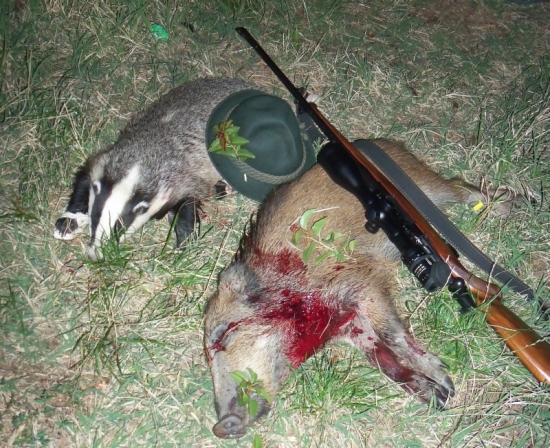 Bohovia mali dobrú náladu...