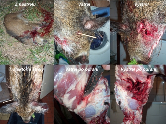 prebíjaný 700m/s Nosler Partition 200gr. 8x57JS