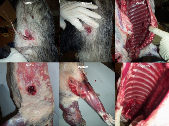 prebíjaný 700m/s Nosler Partition 200gr. 8x57JS