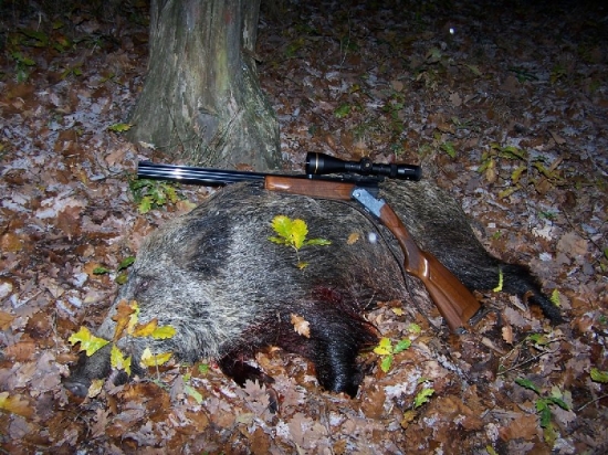 v poslednej chvili...